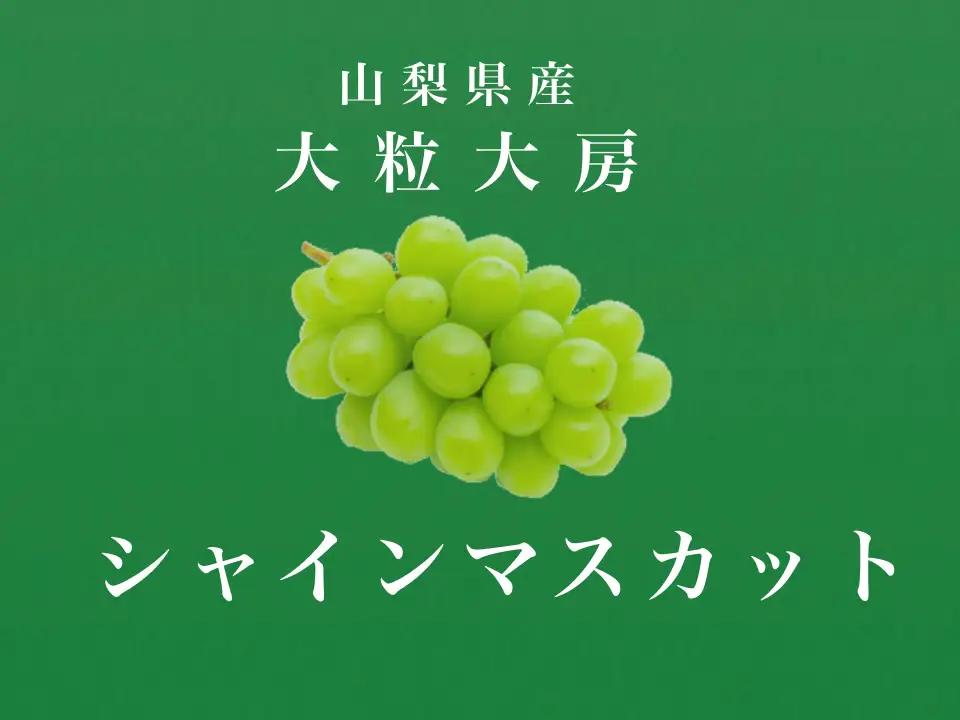 ＜2026年発送先行予約＞大粒大房！山梨県産シャインマスカット 2房 ALPDS007