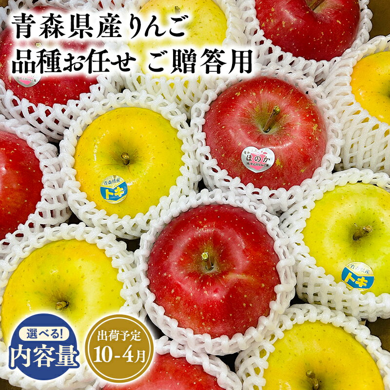 【ふるさと納税】2025年度産 先行予約!≪内容量が選べる≫青森県産 贈答用 品種お任せ 旬のりんご詰め合わせ 3kg 5kg 10kg【青森県 平川市 そと川りんご園】贈答 青森 青森県産 平川 りんご リンゴ 林檎 くだもの 果物 フルーツ レビューキャンペーン