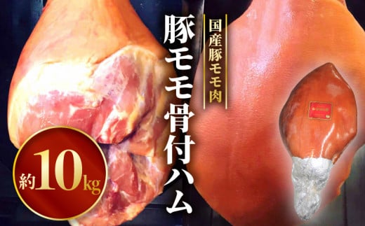 豚モモ骨付ハム｜豚 モモ 骨付 ハム 国産 豚肉 ボンインハム 豚モモ 豚もも 豚もも肉 モモ肉 スモーク 熟成 皮付き 骨付き 骨付き肉 骨付き豚肉 骨付きハム 10kg 国産豚肉 国産豚 肉汁 熟成ハム 冷蔵 サラダ 料理 アレンジ おかず 誕生日 パーティー イベント クリスマス 年末年始 正月 グルメ お取り寄せ お取り寄せグルメ おすすめ 宮崎県 宮崎市 宮崎｜_M009-006