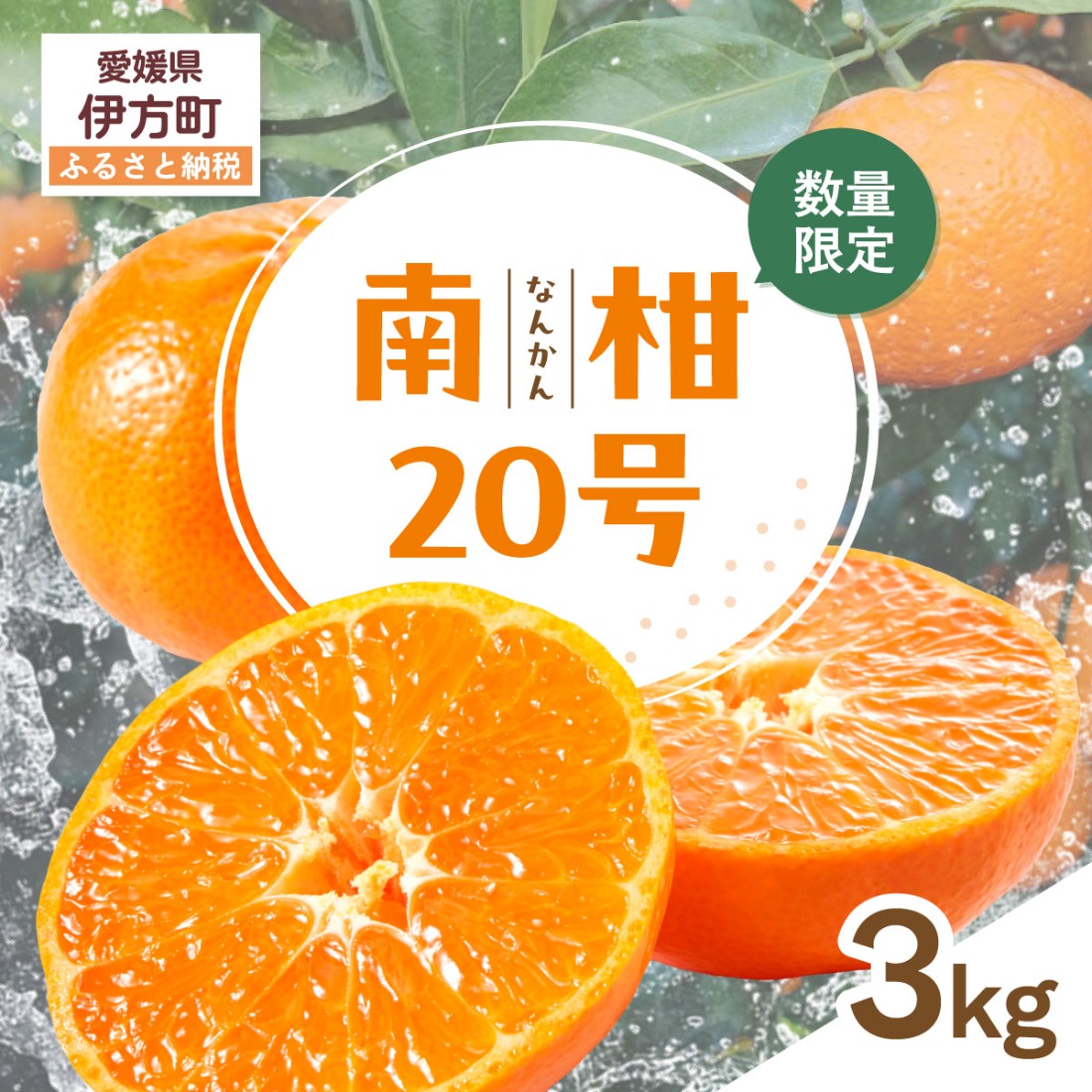 【先行受付】【数量限定】南柑20号（生果）3kg（2026年12月上旬頃より順次発送）IKTQ016