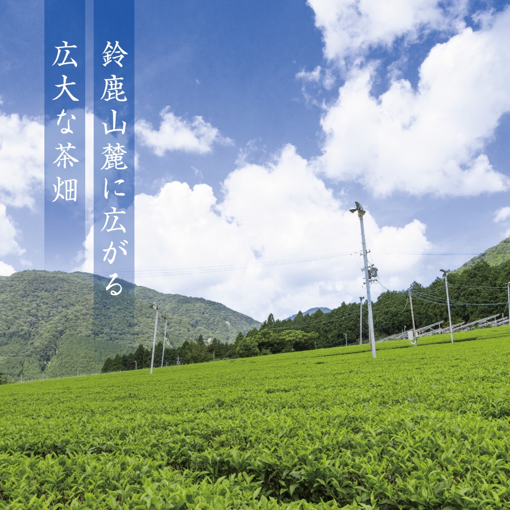「萩村製茶」本格ラテが簡単に作れる抹茶スティック（6本×5袋セット）究を極めた抹茶、皇室献上、G7伊勢志摩サミット選定、農林水産大臣賞受賞、三重ブランド、三重セレクション認定の実績を持つ製茶ブランド_
