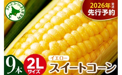 
            【先行受付】【2026年7月下旬～8月中旬頃配送】北海道十勝芽室町 とうもろこし 2L 9本入り me002-021c-26
          