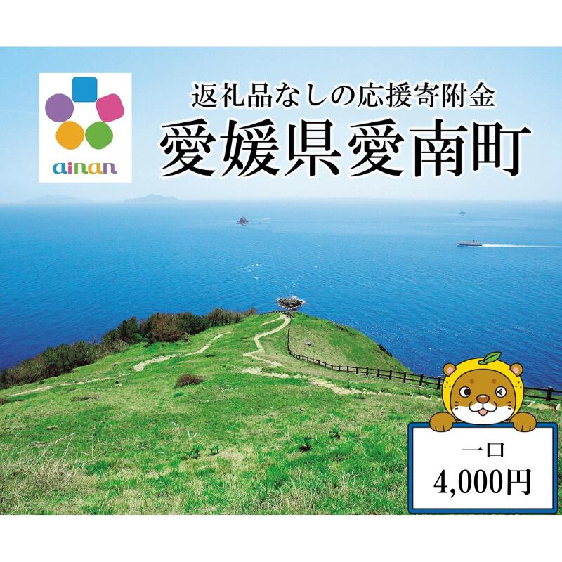 【ふるさと納税】 応援寄附金 （返礼品なし） 4,000円 ふるさと応援寄附金 返礼品なし 寄附のみ 寄附金 応援 地域支援 人気 ランキング おすすめ 愛媛 愛媛県 愛南 愛南町 【愛媛県愛南町】