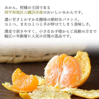 ふるさと納税 八幡浜市 【発送月固定定期便】愛媛みかん5kg×甘平3kg【H25-267】全2回 |  | 01