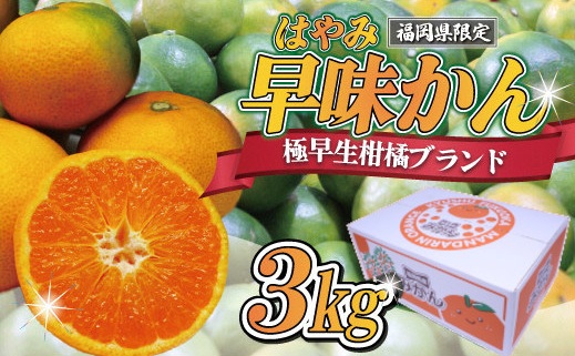 【2026年9月中旬より順次発送】JAむなかたブランドみかん（早味かん）約3kg[H2280]