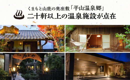 平山温泉 観光協会 ふるさと応援寄附 感謝券 1,000円相当×3枚【一般社団法人 平山温泉観光協会】 [ZBW002]