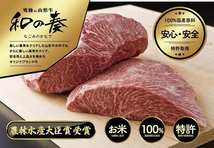 農林水産大臣賞受賞 特選 天童牛 和の奏 煮込み用 600g 山形牛 08-27-008