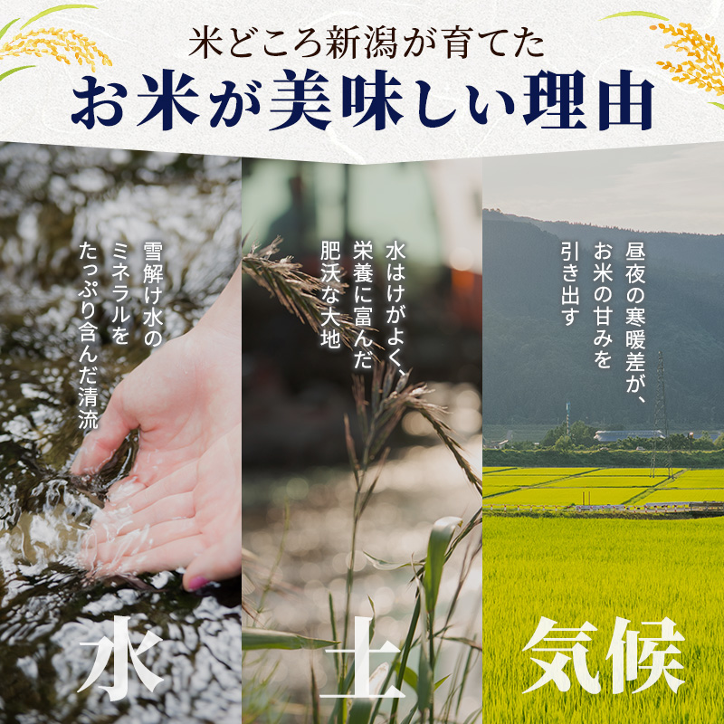 【先行予約】【定期便 6ヶ月】令和8年産 新米 新潟県産 コ