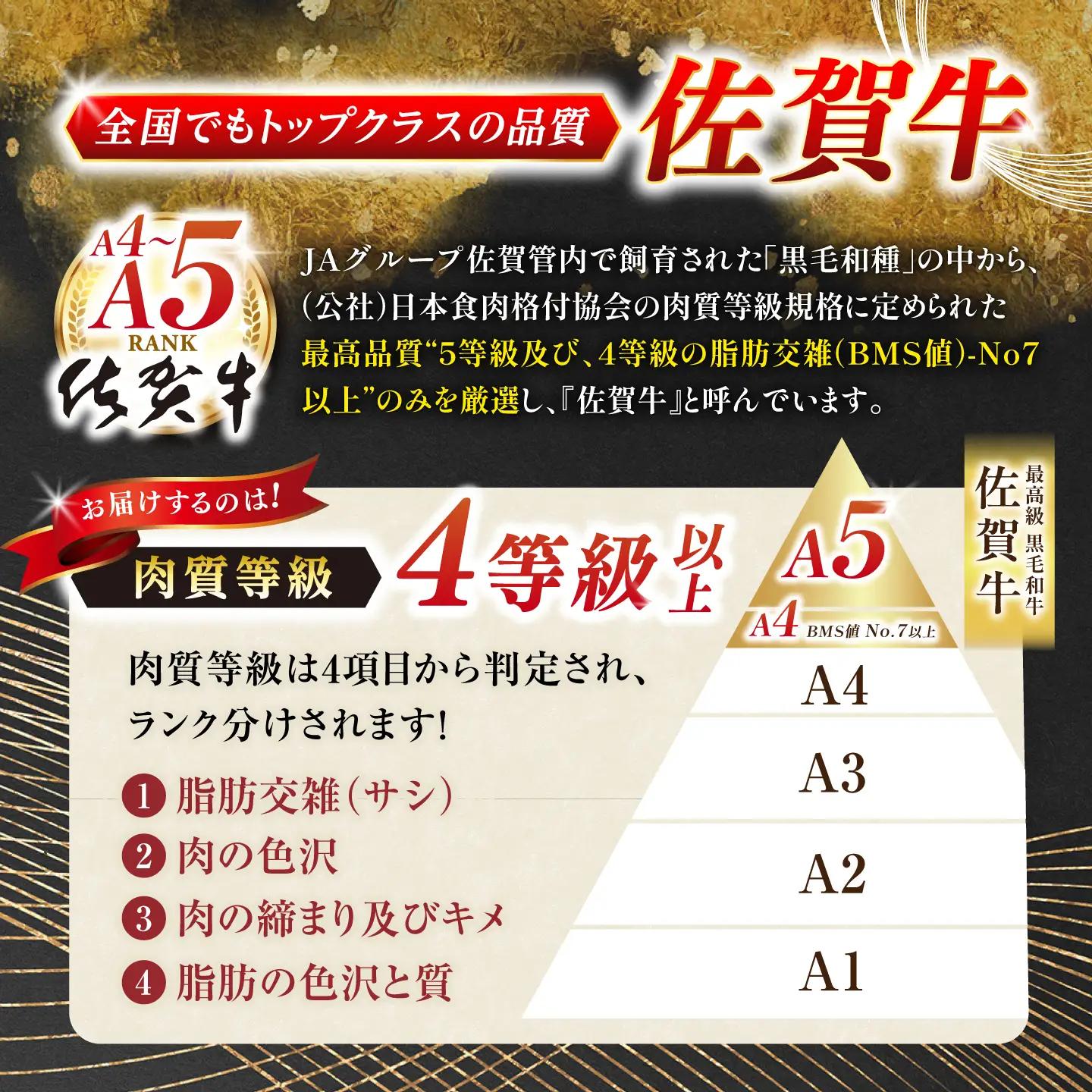 ヒレ 牛肉 ヒレステーキ 佐賀牛 600g NAB077 