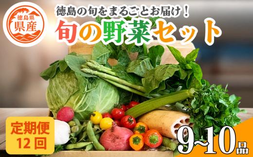 野菜 セット 9～10品 定期便 12回 季節 旬 野菜 詰め合せ 国産 季節 旬 おまかせ 産地直送 春野菜 夏野菜 秋野菜 葉物 果物 果菜 根菜 冷蔵 野菜室 ダイエット 食 栄養食 加工品 カット野菜