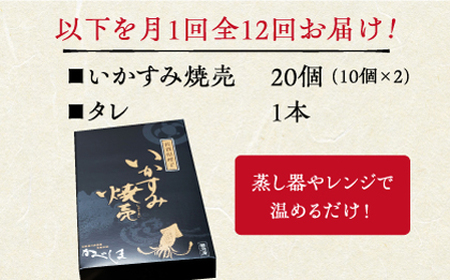 【全12回定期便】かべしまのいか焼売いかすみ焼売20個入り【呼子かべしま直売所】HCL044 いかしゅうまい焼売イカしゅうまいイカイカ焼売