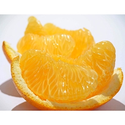【2025年3月発送】紅八朔　約5kg(化粧箱入り)