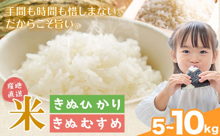 
                  米 こめ きぬひかり きぬむすめ 5kg 10kg 東菜穀農園 《9月下旬-3月末頃出荷》 和歌山県 岩出市 送料無料 お米
                