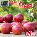 【予約：2023年10月から順次発送】北海道北見市産りんご(旭)約3kg ( りんご リンゴ 林檎 果物 フルーツ 期間限定 )