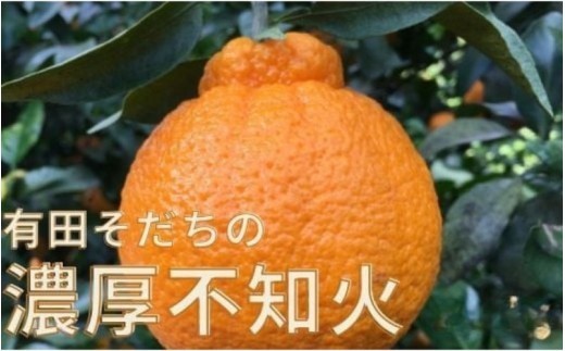 【先行予約】有田育ちの濃厚 不知火 ( デコポン と同品種)( 訳あり 家庭用 )  1kg+200g(痛み補償分) ※北海道・沖縄・離島配送不可【ard208B】