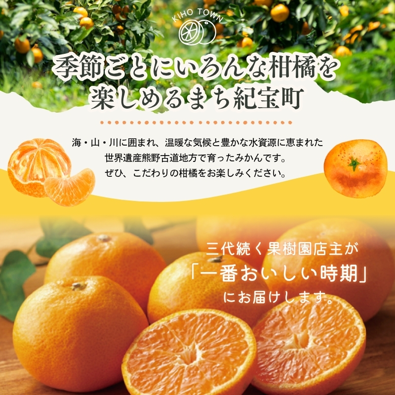 【全3回】 柑橘定期便 石本果樹園 旬の柑橘を春秋冬でお届け！【tkb510】
