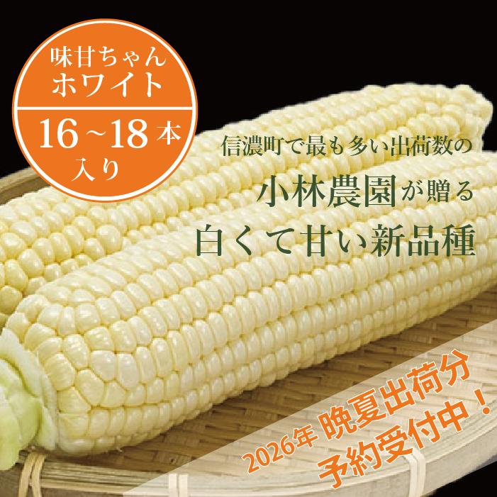 2026年夏の予約受付開始！小林農園の白くて甘いとうもろこし『味甘ちゃんホワイト（みかんちゃんほわいと）』16～18本入り（約9kgセット）令和8年9月～出荷予定【長野県信濃町ふるさと納税】