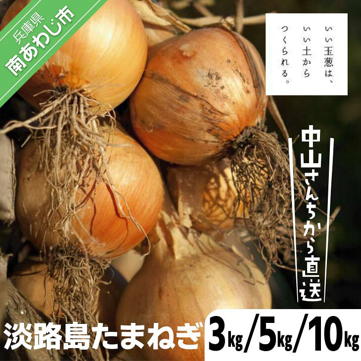 【ふるさと納税】【量が選べる！淡路島玉ねぎ！】中山さんちから直送　淡路島たまねぎ