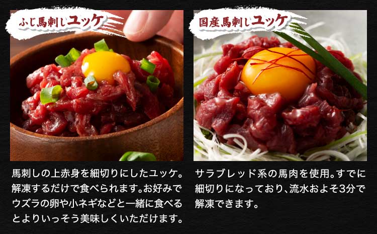 フジチクオリジナル贅沢食べ比べセット 和牛 黒毛和牛 馬肉 赤身 上赤身 バラ カルビ モモ もも 藤彩牛 ふじ馬刺し 絶品 贅沢 上質 専門店 熊本 熊本県 食べ比べ セット 産地直送 家庭用 お取