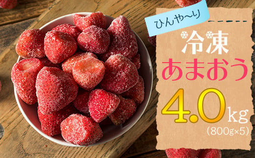 【冷凍】博多 あまおう 4.0kg（800g×5袋） 2L4-S