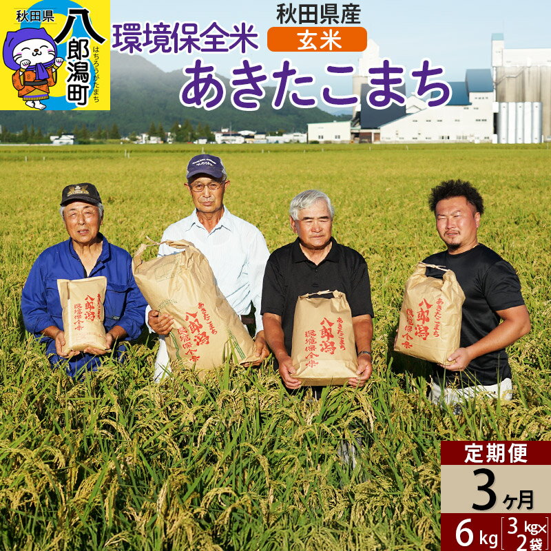 【ふるさと納税】【玄米】《定期便3ヶ月》令和7年産 秋田県産 あきたこまち 環境保全米 6kg (3kg×2袋)×3回 計18kg