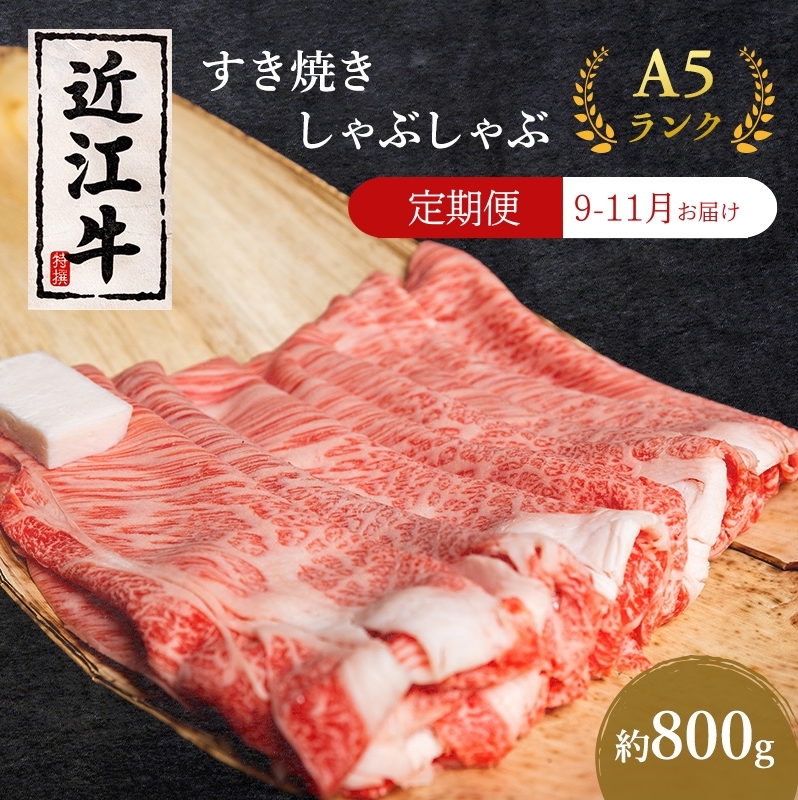 【肉の千石屋】【定期便:9～11月お届け】3ヶ月連続お届け近江牛A5ランクすき焼き しゃぶしゃぶ約800g 肉 近江牛 牛肉 すき焼き しゃぶしゃぶ モモ 肩ロース ロース 和牛 国産 滋賀県