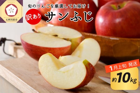【2026年1月上旬発送】 【訳あり】 りんご 約10kg サンふじ 青森産