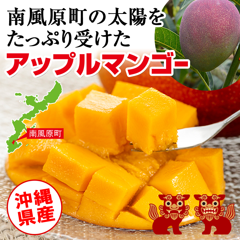 【2025年発送】南の果実園　マンゴー1kg_イメージ4