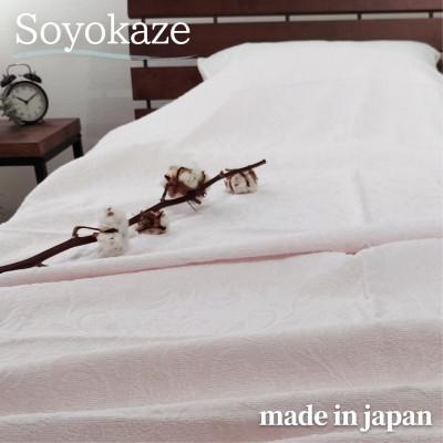 ふるさと納税 和泉市 『軽やか』で洗濯しやすい綿100%タオルケット シングルサイズ(140×190cm)5164-PI