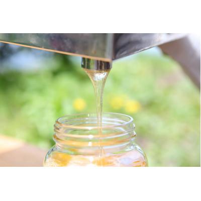 ふるさと納税 沼田市 奥利根 坂井の蜂蜜ギフト 金澤翔子ラベル 1000g |  | 01