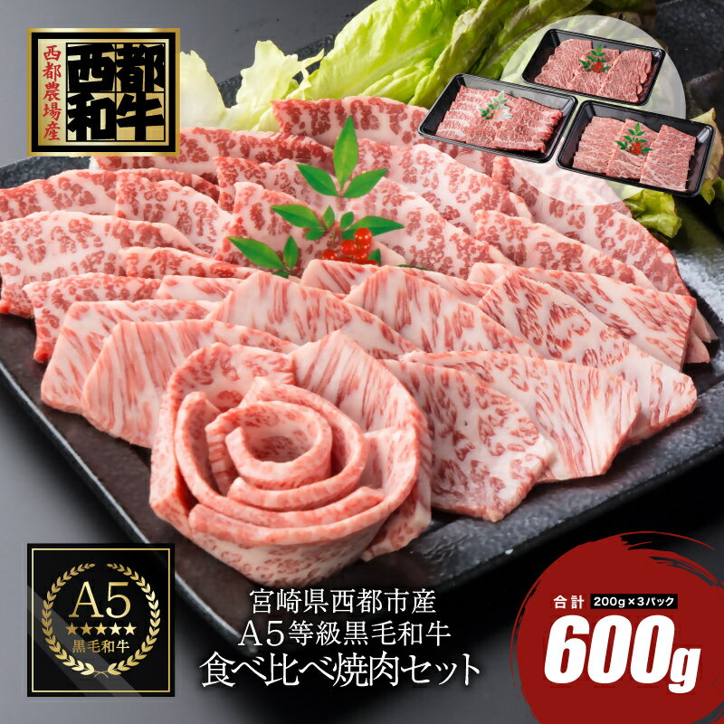 【ふるさと納税】宮崎県産黒毛和牛 食べ比べ焼肉セット600g（カルビ200g×2・赤身200g）＜1.7-35＞カミチクファーム ふるさと納税 黒毛和牛 焼肉 国産 宮崎県産 牛肉 送料無料