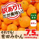 【ふるさと納税】訳あり それでも 有田みかん 箱込 7.5kg (内容量約 6.8kg) サイズミックス B品 有田みかん 和歌山県産 産地直送 家庭用【みかんの会】 | フルーツ 果物 くだもの 食品 人気 おすすめ 送料無料