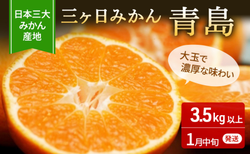 【2027年1月中旬頃より順次発送】三ヶ日みかん 青島 優品 2L 3.5kg みかん ミカン 蜜柑 青島みかん 三ヶ日 果物 くだもの フルーツ 旬の果物 旬のフルーツ 柑橘 柑橘類 糖度 静岡 浜松市【配送不可：離島】
