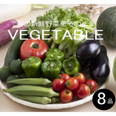 ふるさと納税 御坊市 旬の新鮮野菜セット8種以上【野菜詰め合わせ】