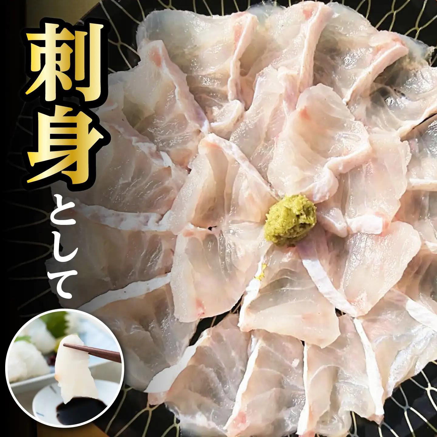 【2026年10月より順次発送】対馬産 幻の高級魚 クエ 1.2kg 海鮮 魚介 鍋 高級 [WAA014]