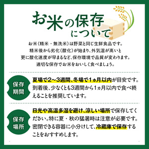 令和7年産　無洗米　福岡県産夢つくし 10kg_Gr018