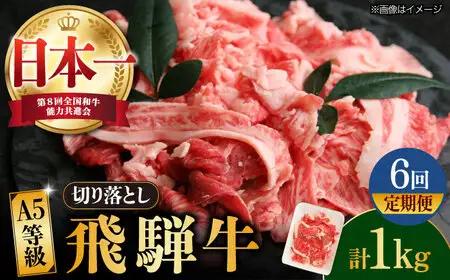 【6回定期便】【飛騨牛】A5等級切り落とし 1kg [TAZ016] 肉 定期便