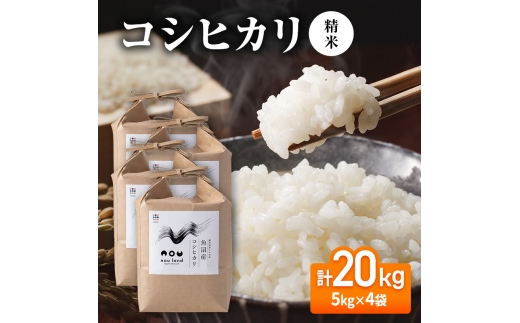 【先行予約】令和8年産 コシヒカリ精米5kg×4袋