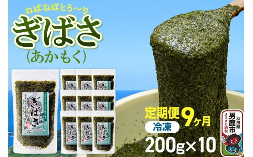 【定期便9ヶ月】ぎばさ(あかもく) 200g×10個セット 海藻 男鹿市 秋田県 [ぎばさ あかもく 海藻 磯の香り 強い粘り フコイダン フコキサンチン 高栄養価 食物繊維 シャキシャキ食感 秋田県 男鹿市]