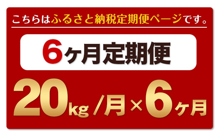 令和6年産 新米 【6ヶ月定期便】 ひのひかり 無洗米 20kg 5kg×4袋 計6回お届け 熊本県産 こめ コメ 無洗米 精米 荒尾市 ひの 米 定期 《お申込み月の翌月から出荷開始》 美味しい米 