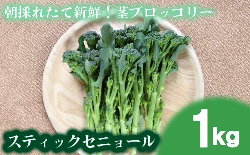 
            【 期間限定 】 スティックセニョール 1kg  茎 ブロッコリー 朝採れ 新鮮 野菜 サラダ お弁当 ピクニック 産地直送 期間限定 下関 山口 
          