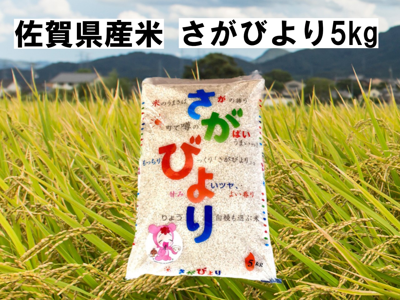 
                  佐賀県産米 さがびより5kg
                