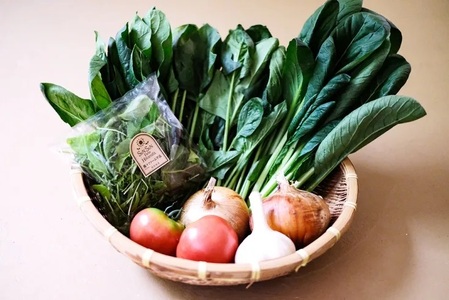 【2026年6月より順次発送】 曽爾高原野菜５種５品～小さなご家庭食べきりサイズ～を５ヶ月連続でお届けします 野菜定期便