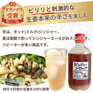 【桐島畑】ジンジャーシロップ 1本（480g） 栽培期間農薬 化学肥料不使用 生姜 Fkh-A08／ 生姜 しょうが 生姜シロップ ジンジャー 無農薬