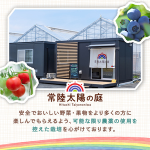 フルーツトマトジュース 720ml 2本入り