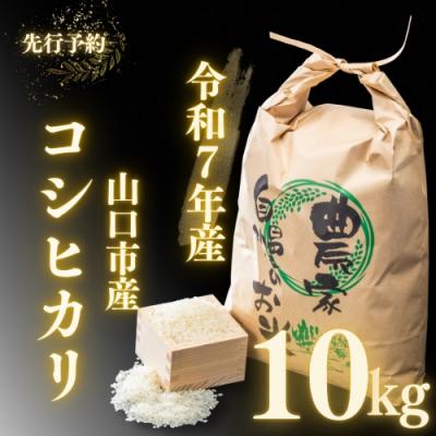 ふるさと納税 山口市 農家直送!山口市産新米「コシヒカリ」精米10kg D404
