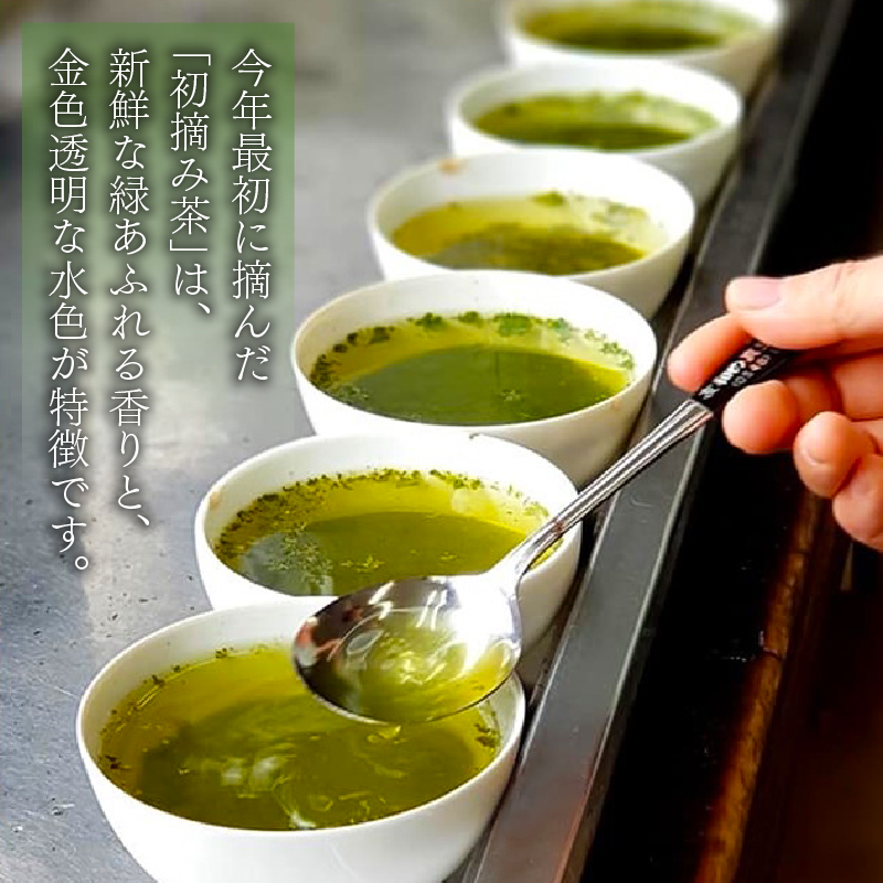 【5月中旬以降発送】 新茶 藤枝産 初摘み 500g 茶 お茶 初摘み茶 緑茶 日本茶 静岡茶 藤枝茶 静岡県 藤枝市