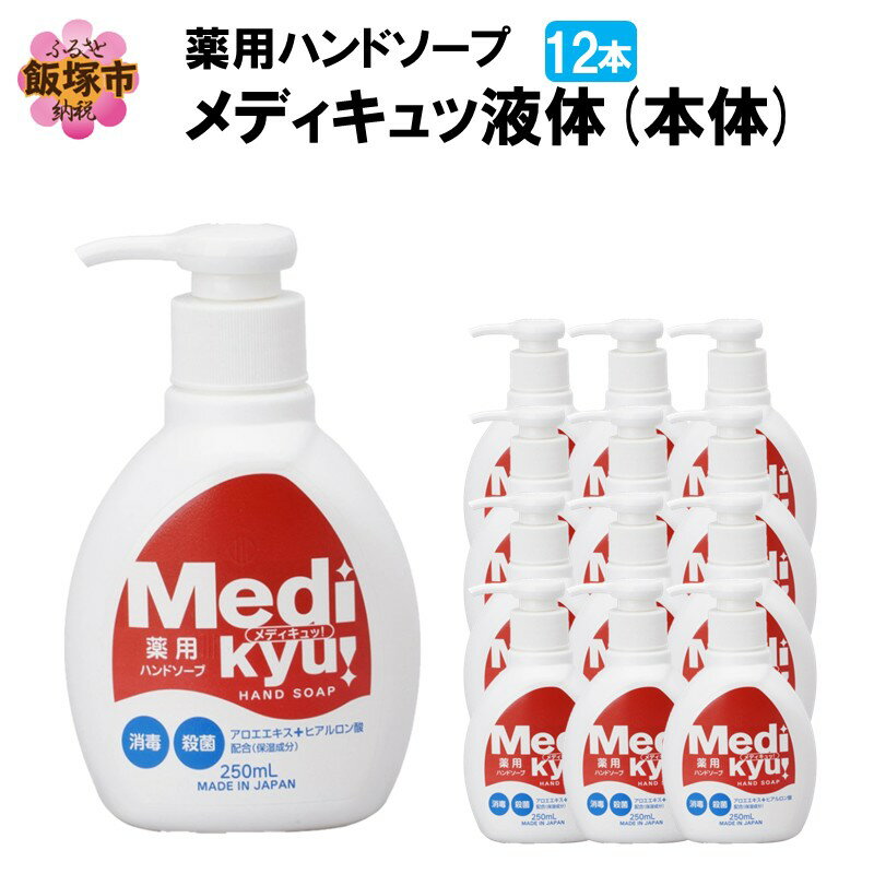 【ふるさと納税】薬用ハンドソープ メディキュッ 液体 本体 250ml×12本 ふるさと納税 日用品 ハンドソープ ストック 備蓄 常備 防災対策 【A-830】