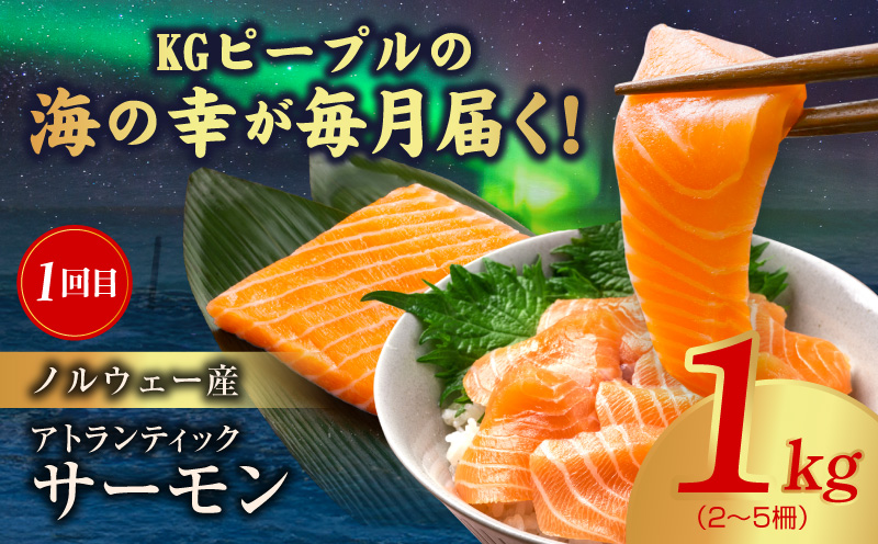 海鮮食べ比べ 定期便 全5回 総量6kg以上【サーモン ブラックタイガー 銀鱈 銀鮭 鰹 訳あり サイズ不揃い 小分け 惣菜】 kgpZ018