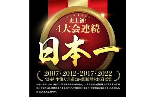 宮崎牛 ロース ステーキ 600ｇ 【 肉 牛肉 A4～A5等級 宮崎牛 日本ハム BBQ ロースステーキ 焼肉 】 [E11001]